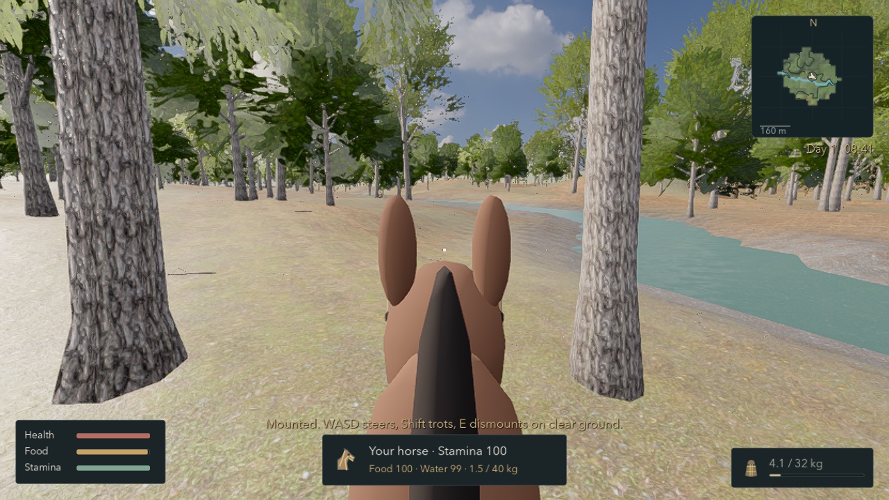 The view from horseback in the current Diod prototype